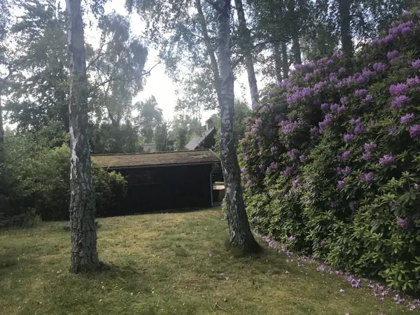 Bild 54 von 70