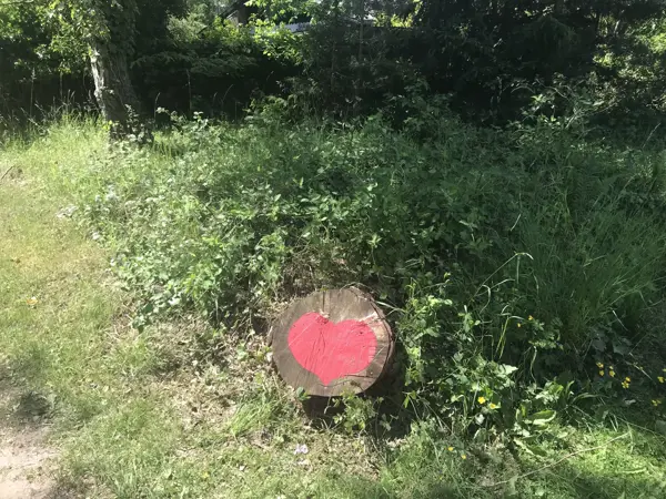Bild 62 von 70