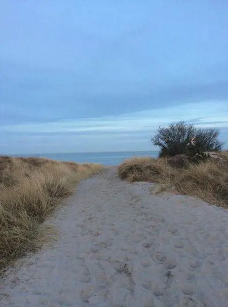 Bild 2 von 57