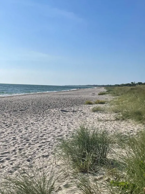 Bild 45 von 57