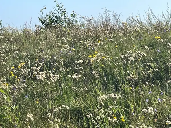 Bild 48 von 57