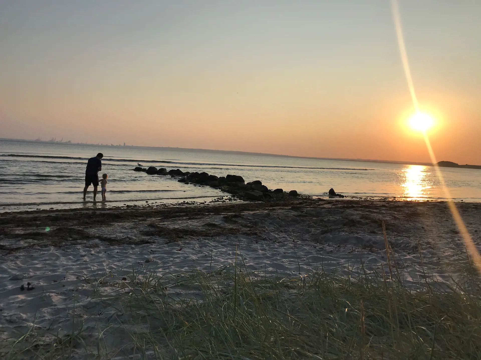 Bild 29 von 30