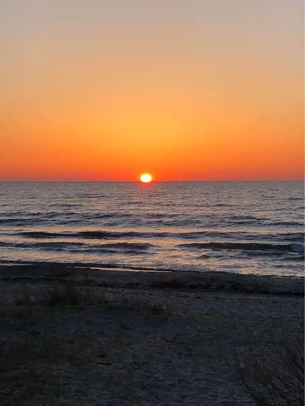 Bild 25 von 29