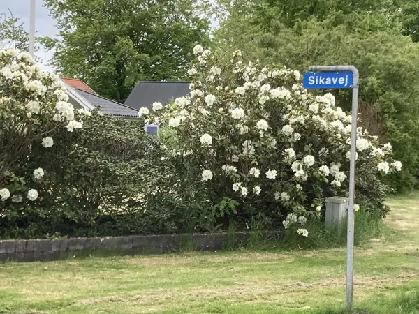 Bild 21 von 37