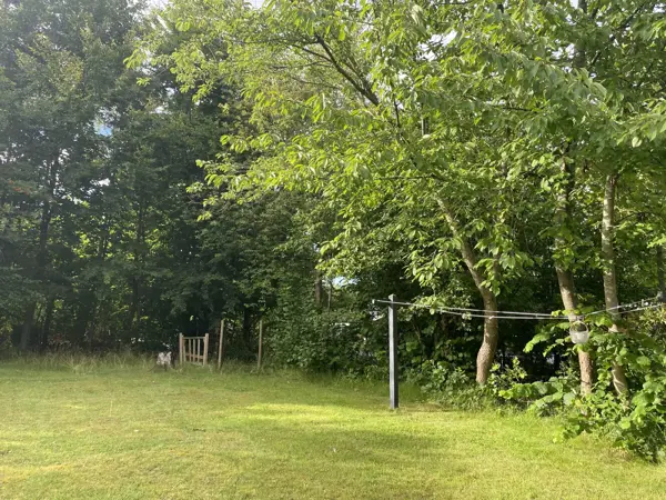 Bild 31 von 37