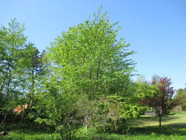 Bild 4 von 34