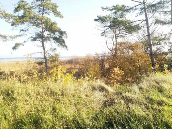 Bild 33 von 40