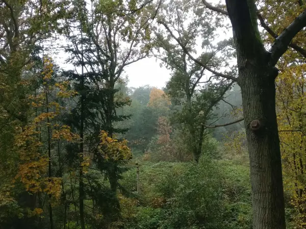 Bild 35 von 40
