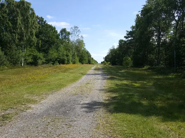 Bild 40 von 40