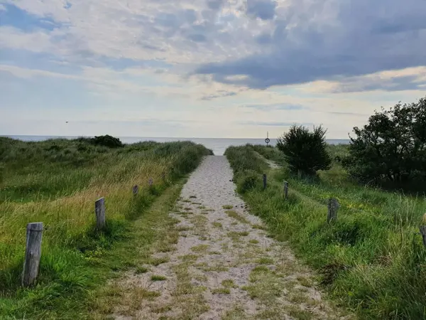 Bild 40 von 40