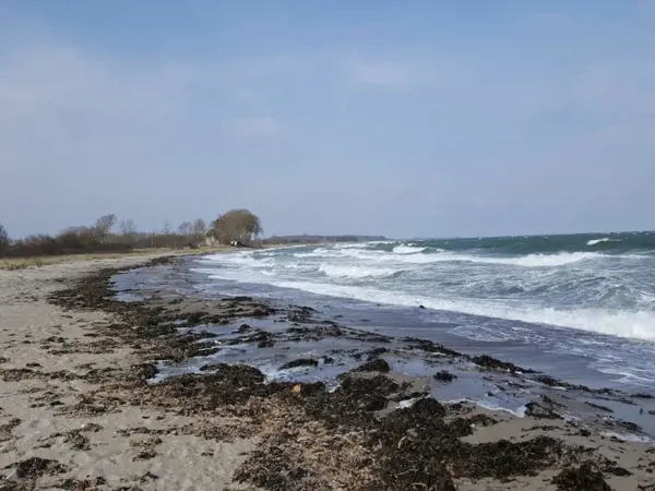 Bild 33 von 54
