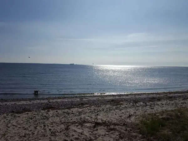 Bild 34 von 54