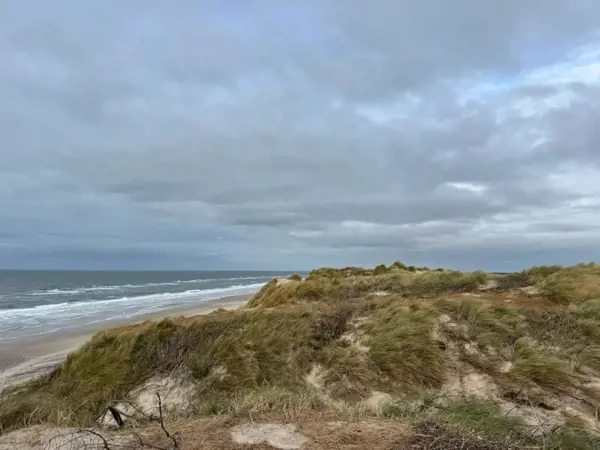 Bild 29 von 53