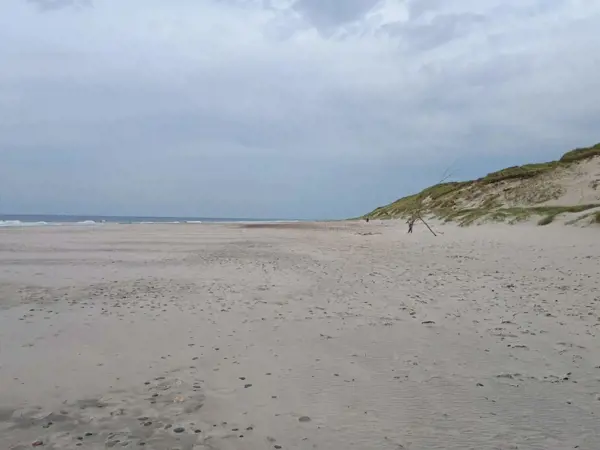 Bild 51 von 53