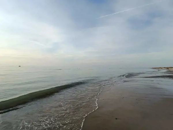 Bild 23 von 49