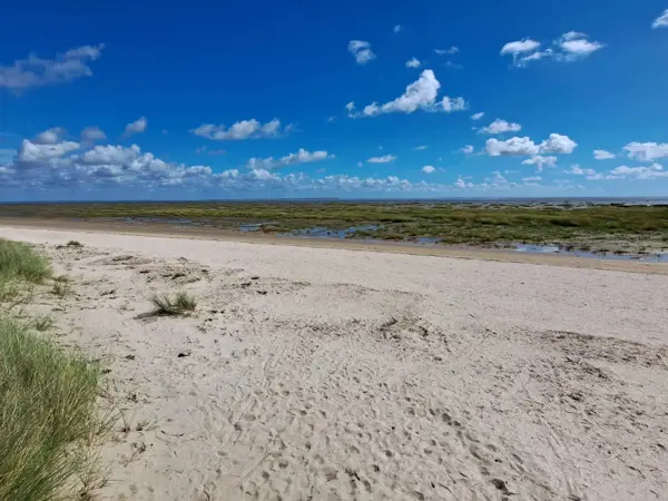 Bild 38 von 39