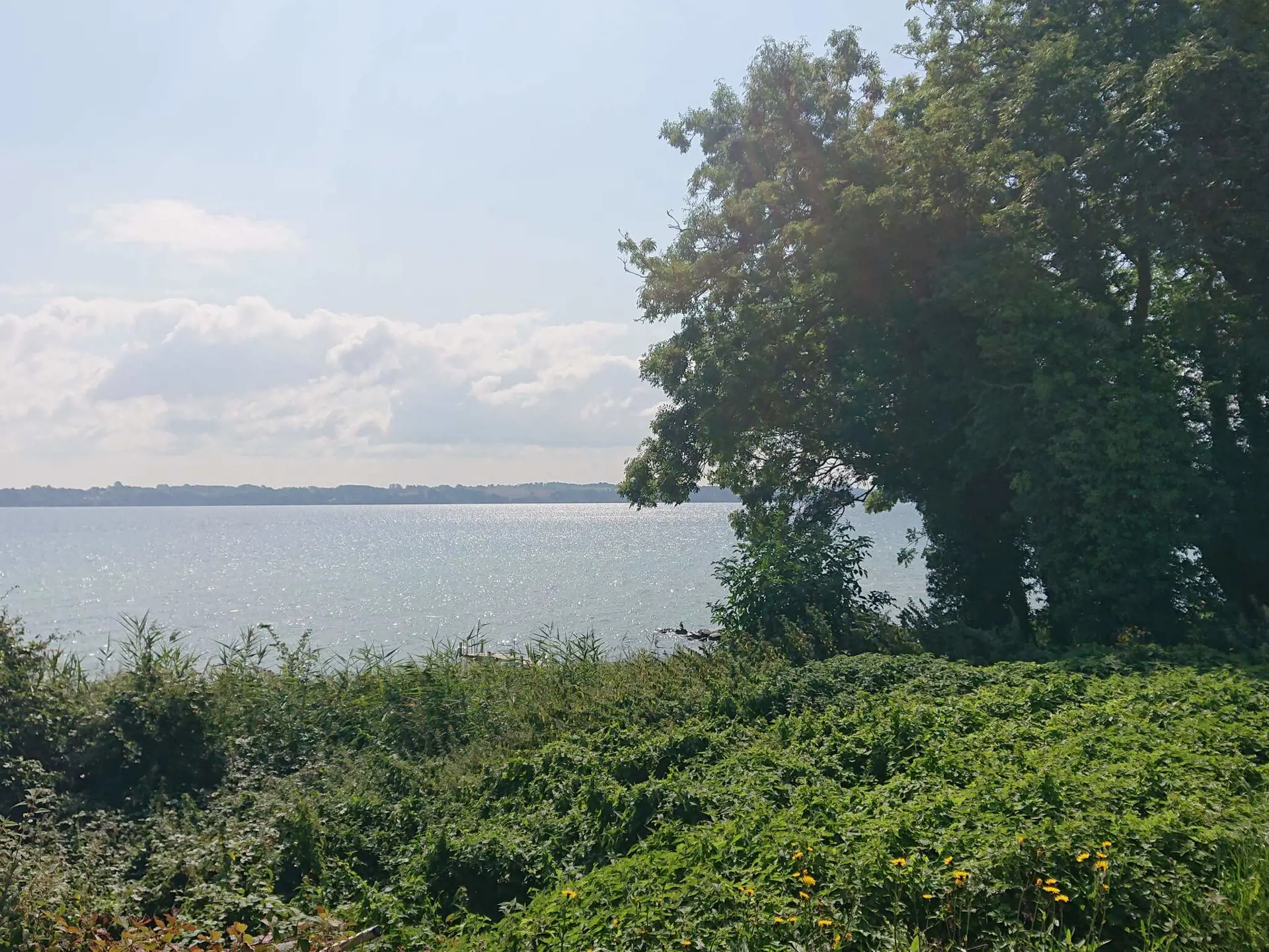 Bild 23 von 43