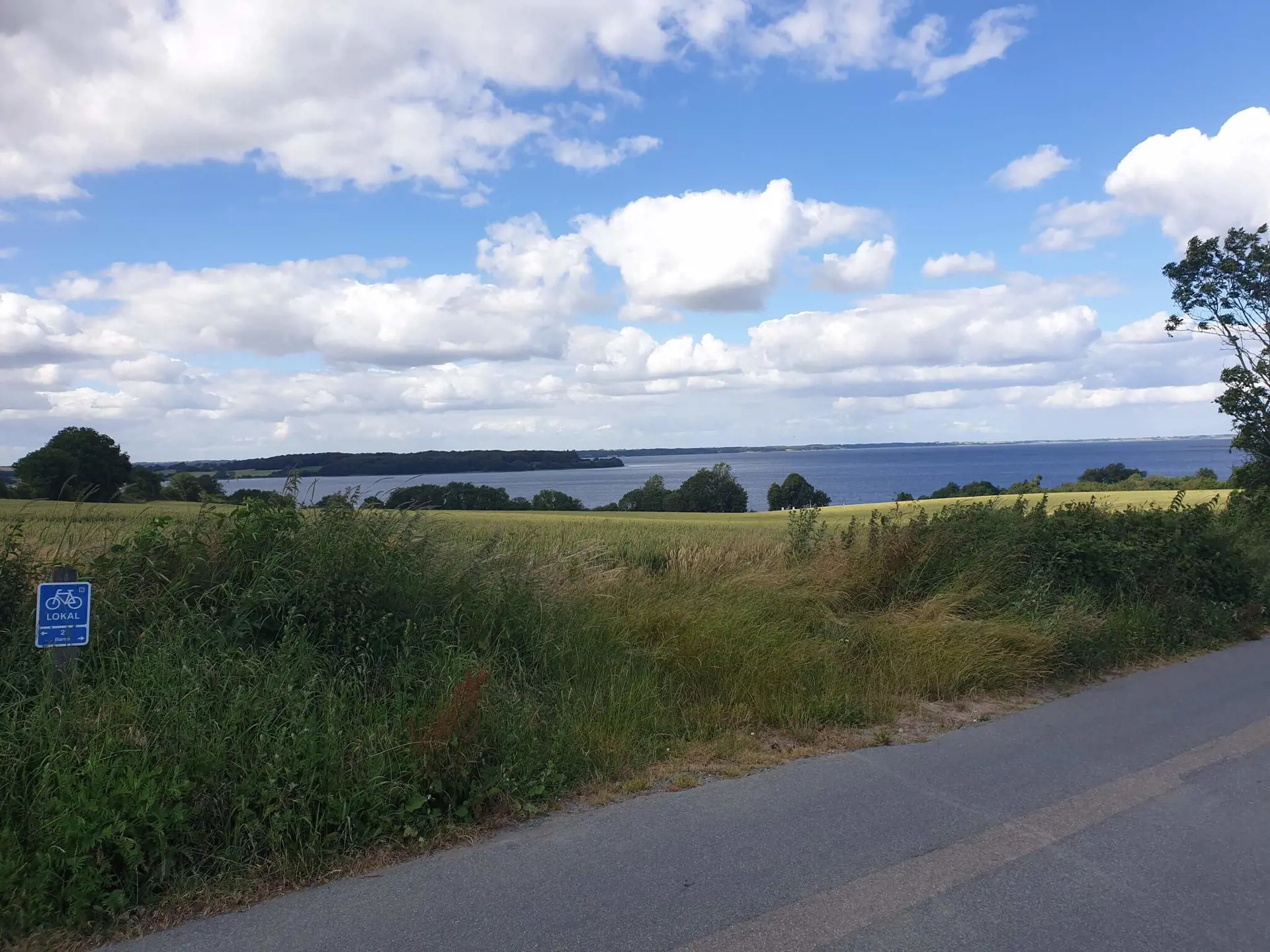 Bild 42 von 43