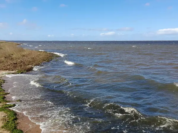 Bild 25 von 40