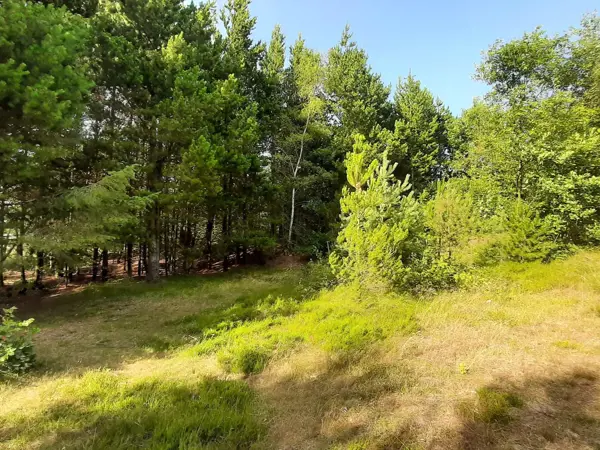 Bild 39 von 40