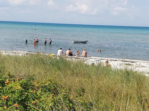 Bild 34 von 35