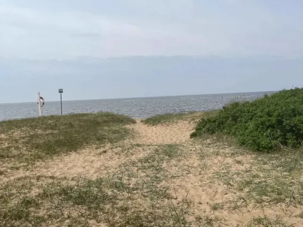 Bild 15 von 36