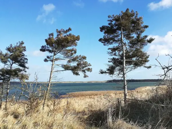 Bild 34 von 37