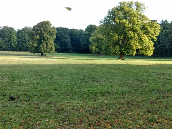 Bild 32 von 36