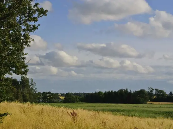 Bild 34 von 37