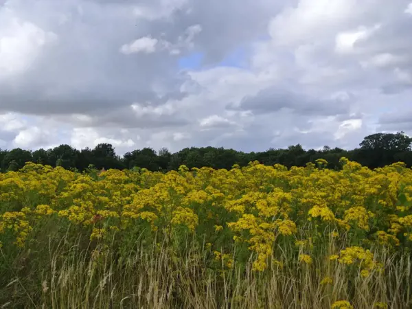 Bild 35 von 37