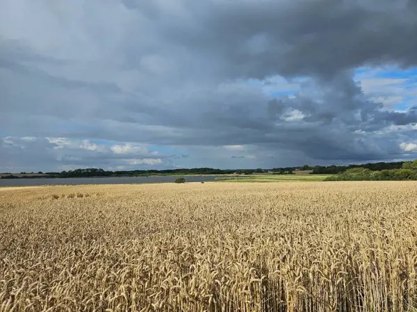Bild 31 von 36