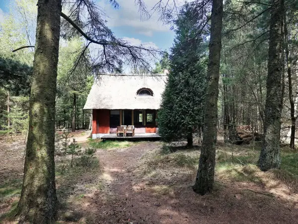 Bild 6 von 20
