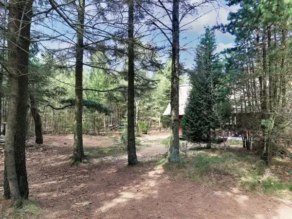 Bild 7 von 20