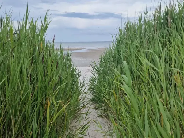 Bild 26 von 33