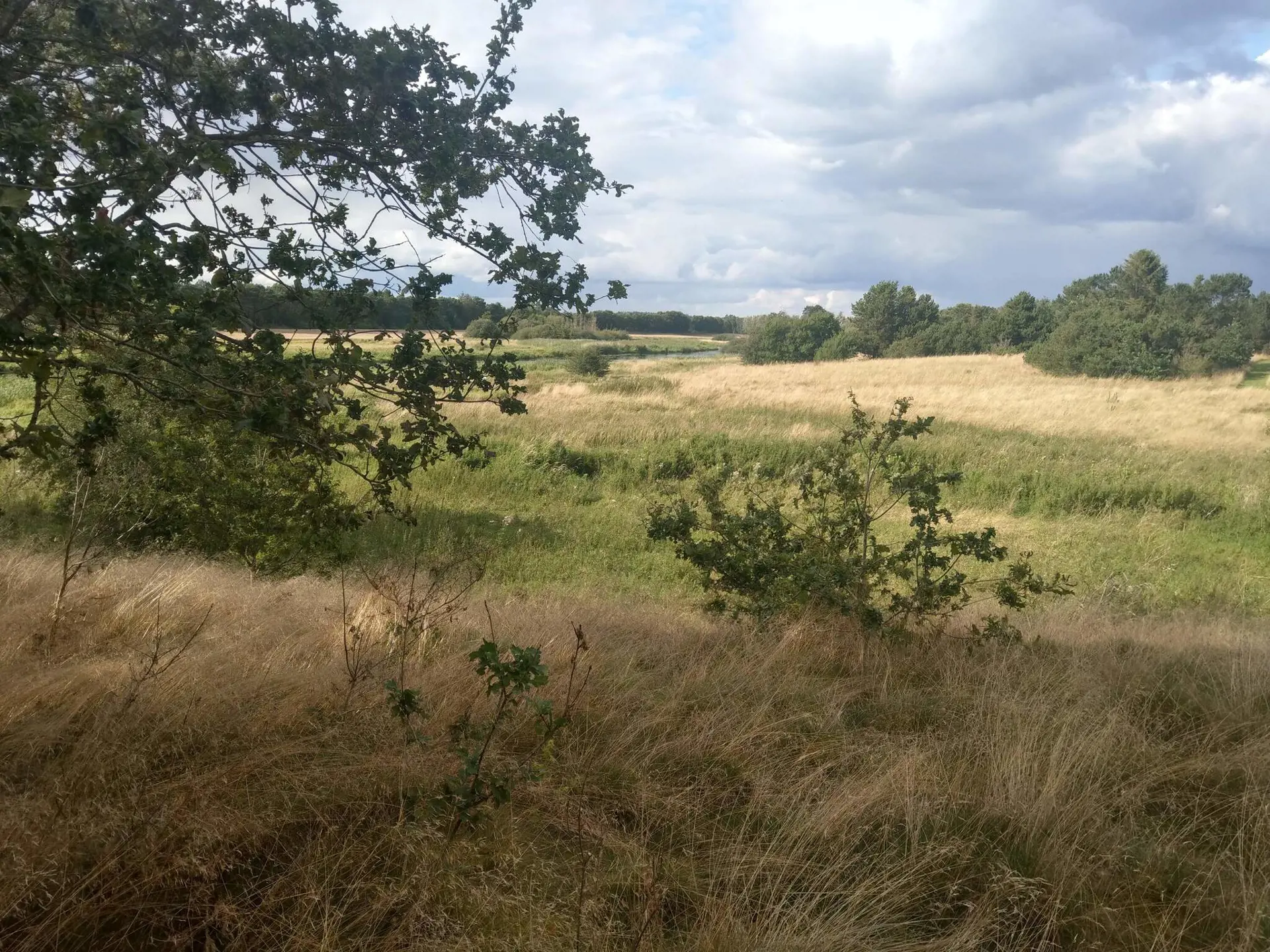 Bild 34 von 37
