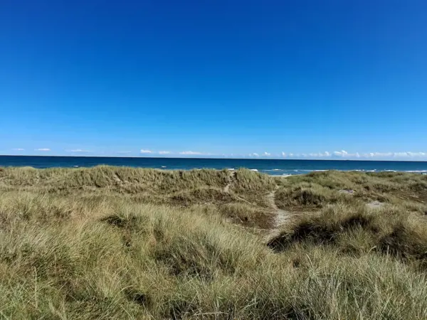 Bild 39 von 40