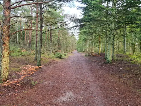 Bild 40 von 40