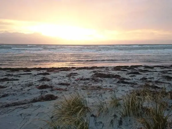 Bild 29 von 48