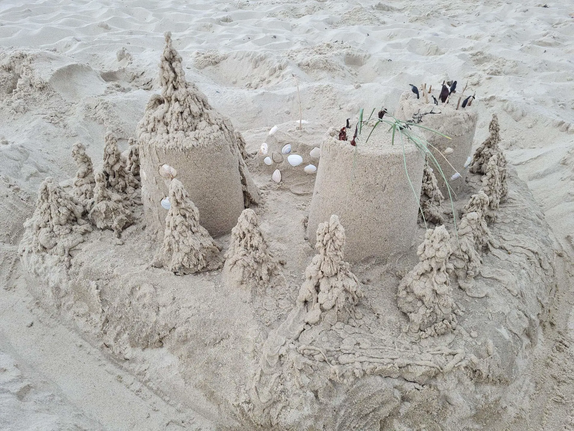 Bild 31 von 37