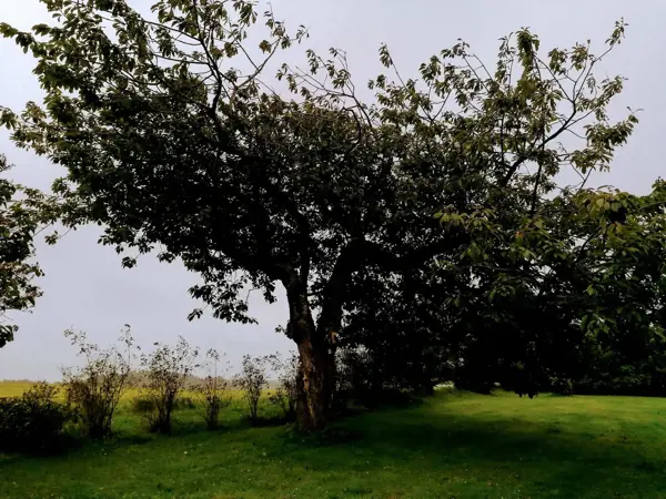 Bild 36 von 40