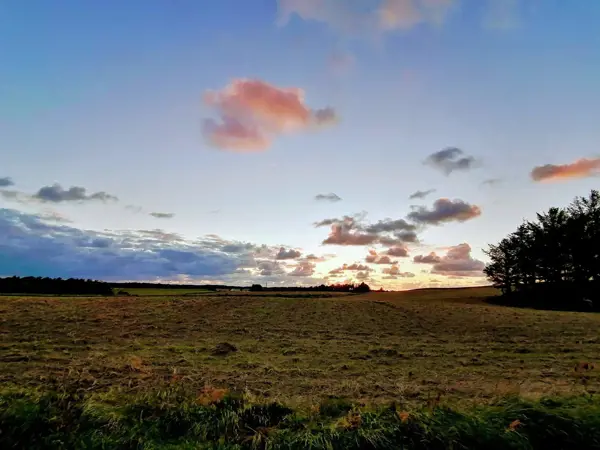 Bild 40 von 40