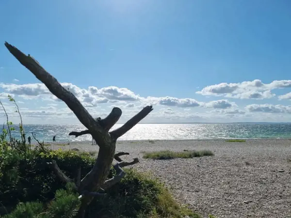 Bild 18 von 36