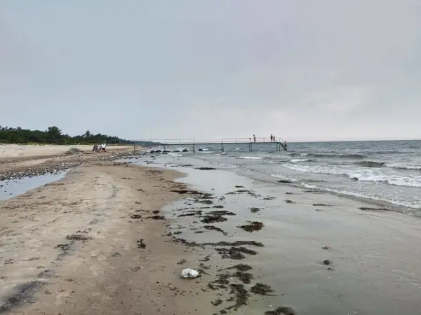Bild 24 von 50