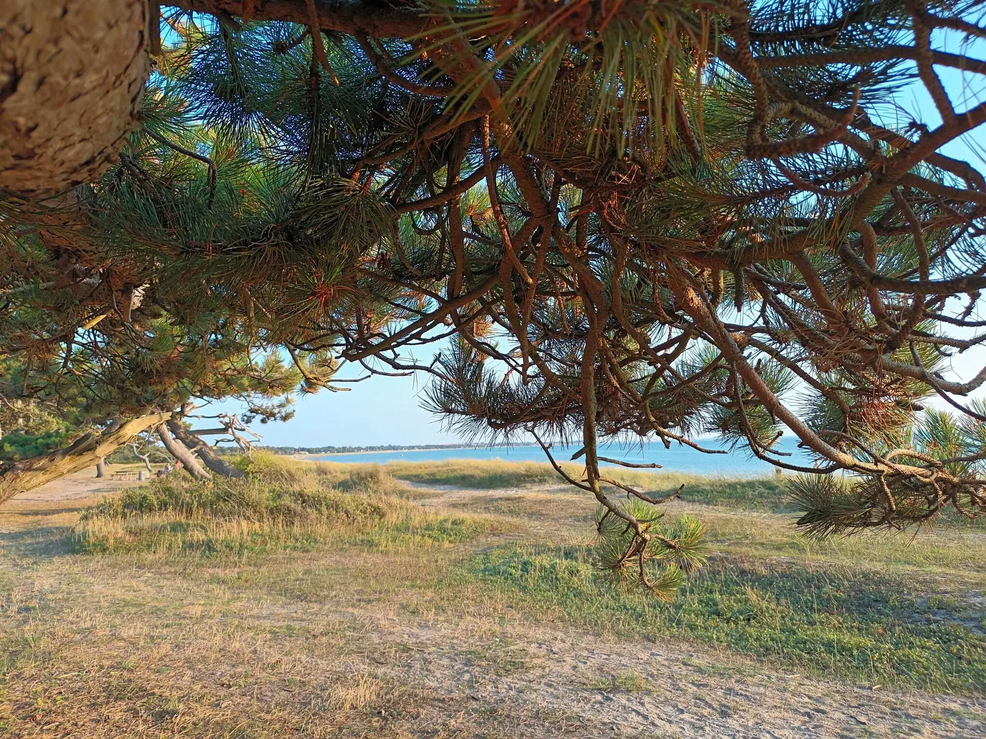 Bild 39 von 40