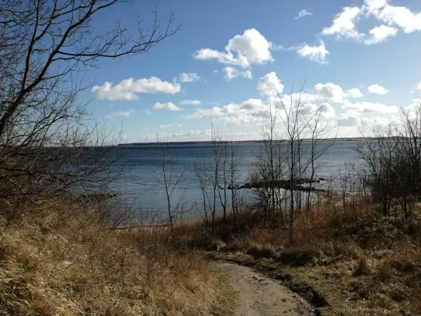 Bild 36 von 37