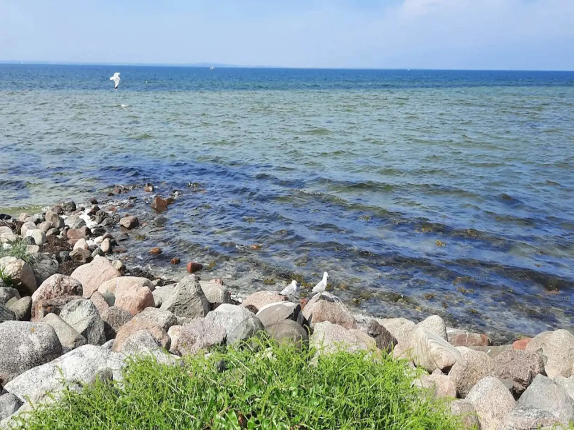 Bild 36 von 55