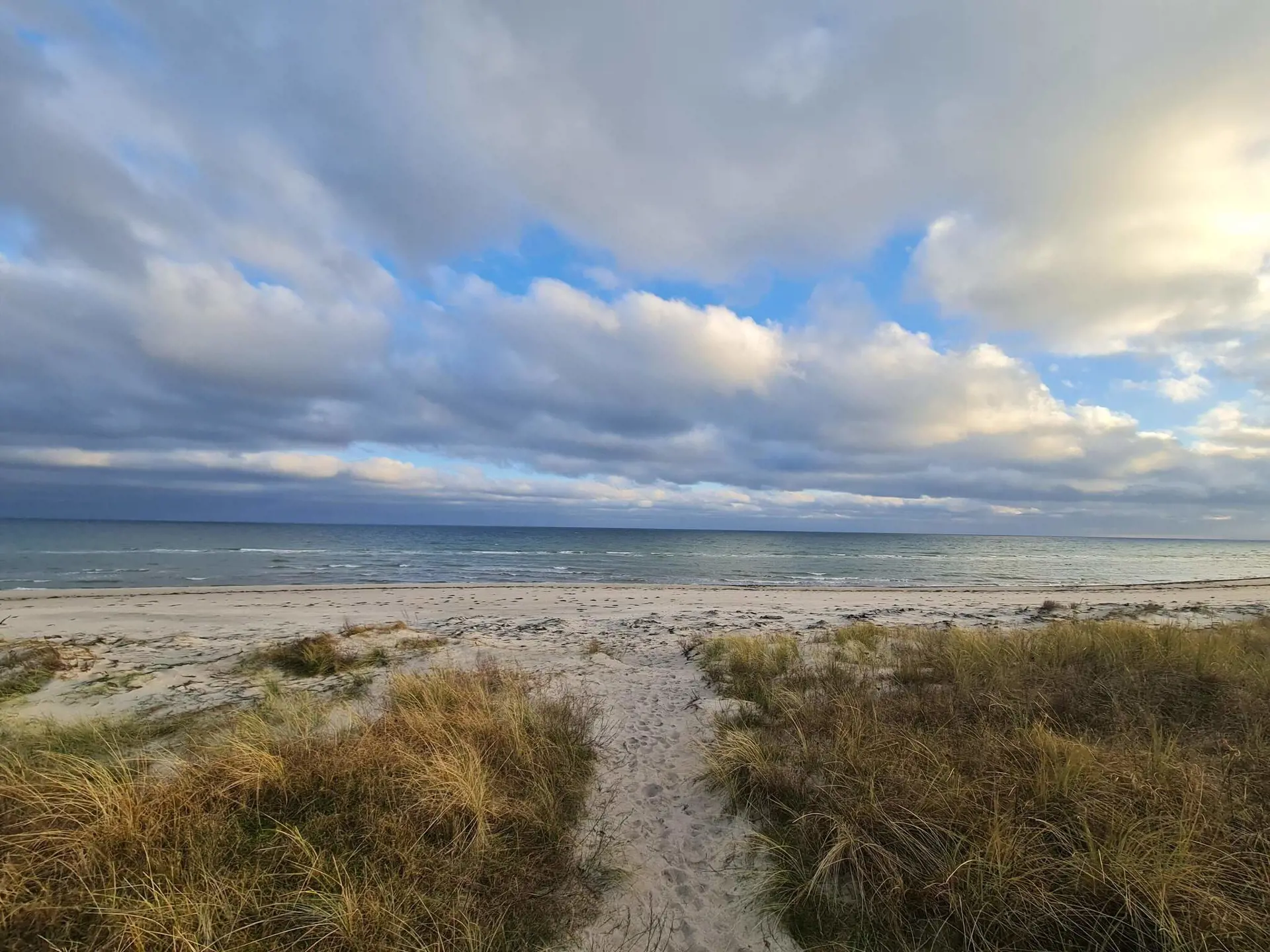 Bild 39 von 44