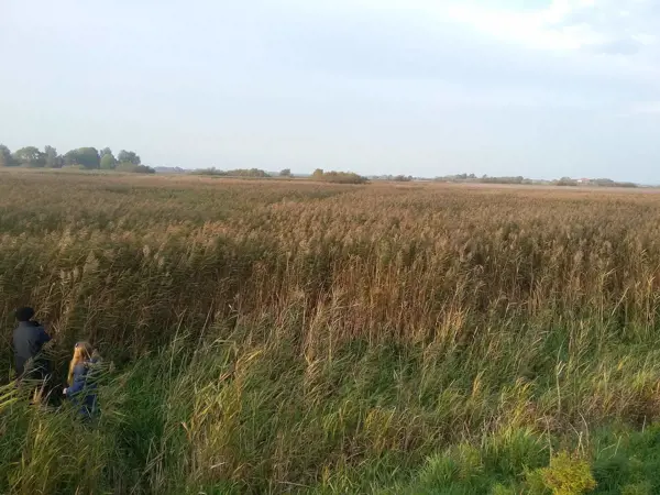 Bild 32 von 35