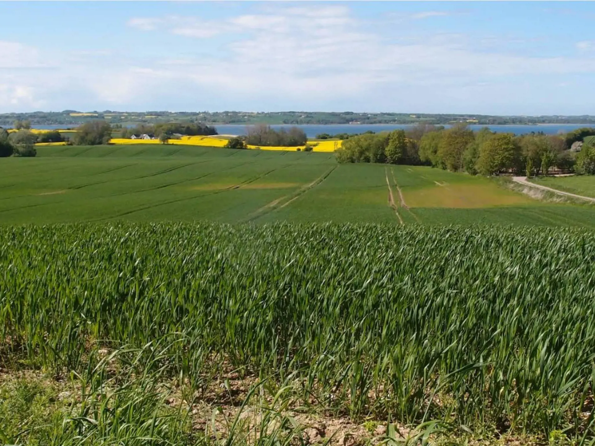 Bild 30 von 30