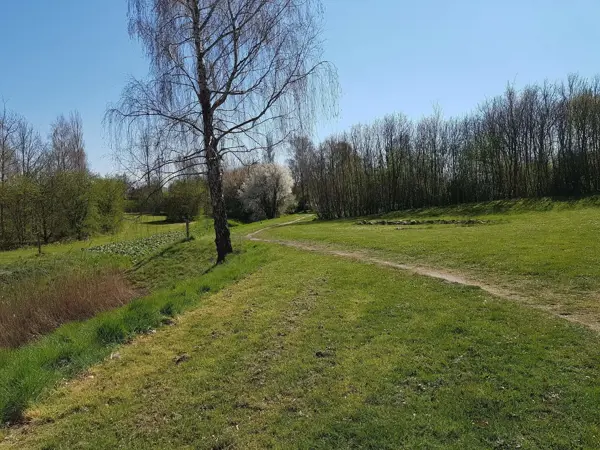 Bild 36 von 36